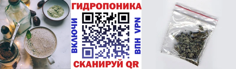 omg tor  где купить наркоту  Великий Новгород  Еда ТГК марихуана 