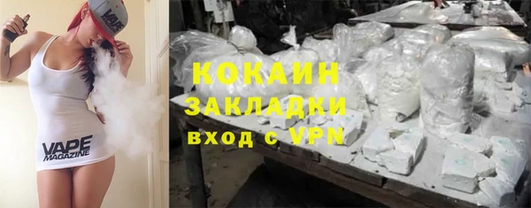индика Вязьма