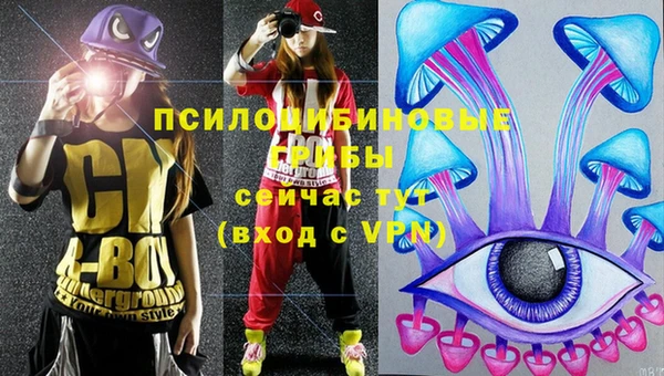 MDMA Вяземский