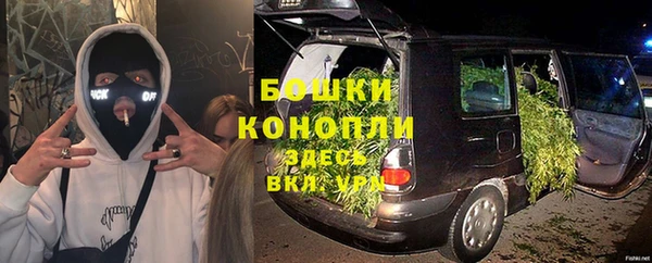 индика Вязьма