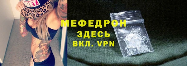 индика Вязьма