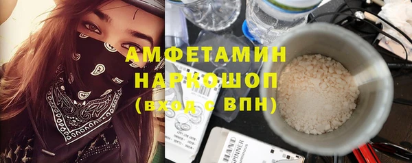 индика Вязьма