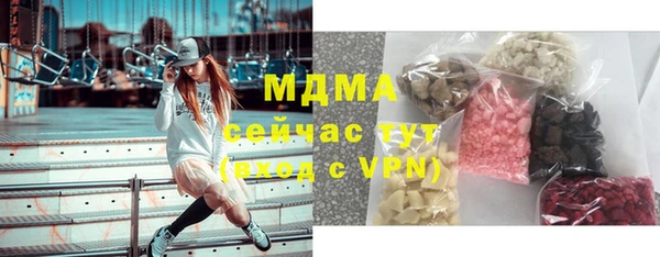индика Вязьма