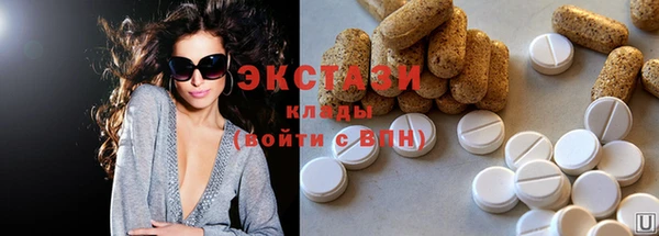 индика Вязьма