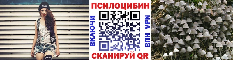 MEGA как зайти  Великий Новгород  Псилоцибиновые грибы ЛСД 